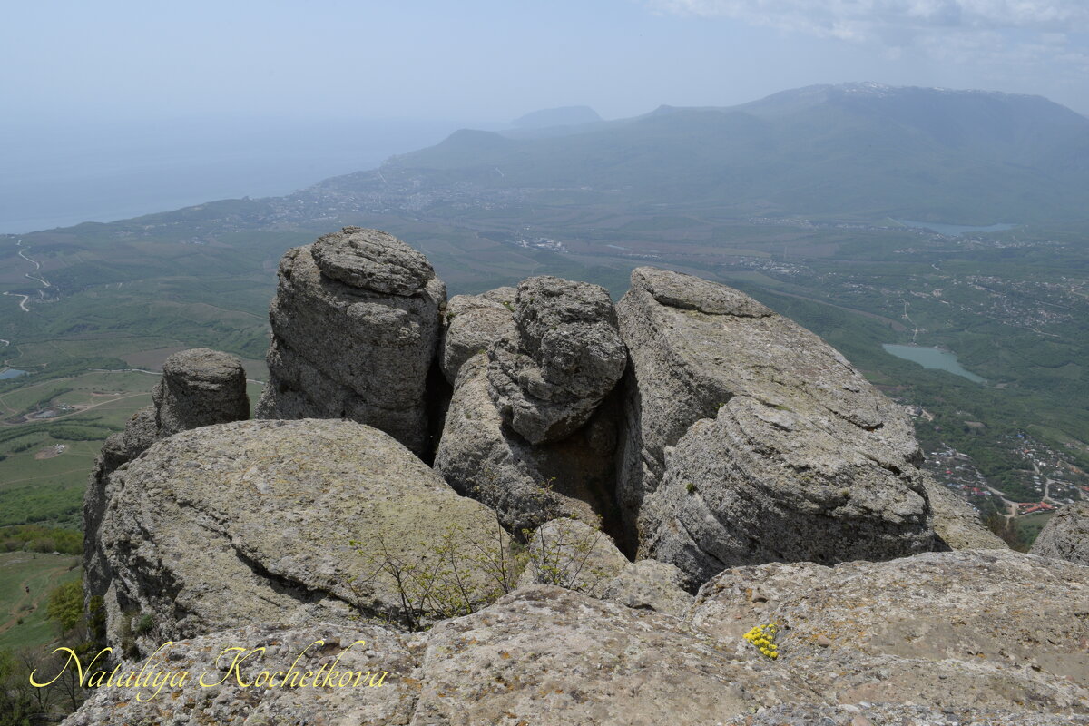 Природа Крыма - Amazing Cosmea