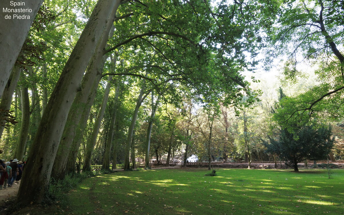 Природа - Michael M