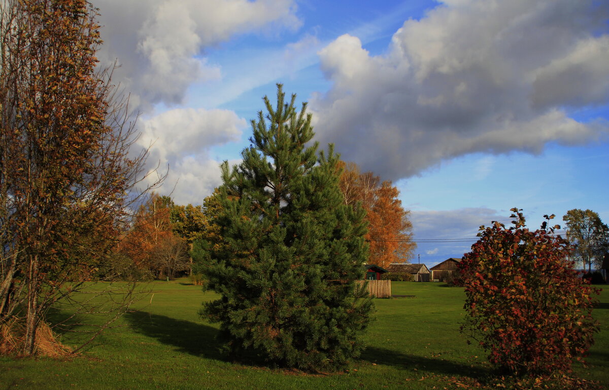 Октябрь нам  шлёт приветы.. - Татьян@ Ивановна