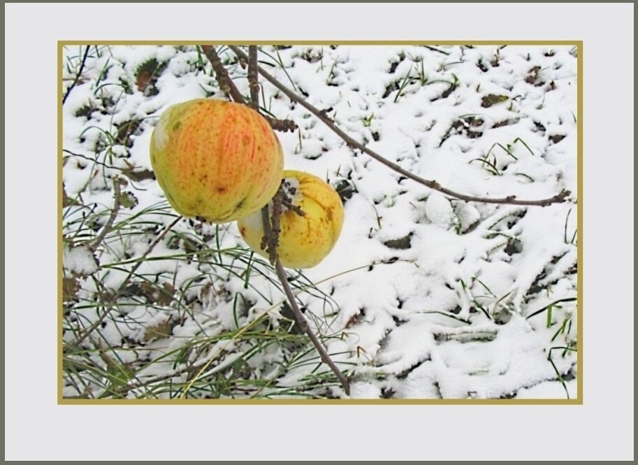 "Иероглифы  "  Осени... - Галина Кузьмина