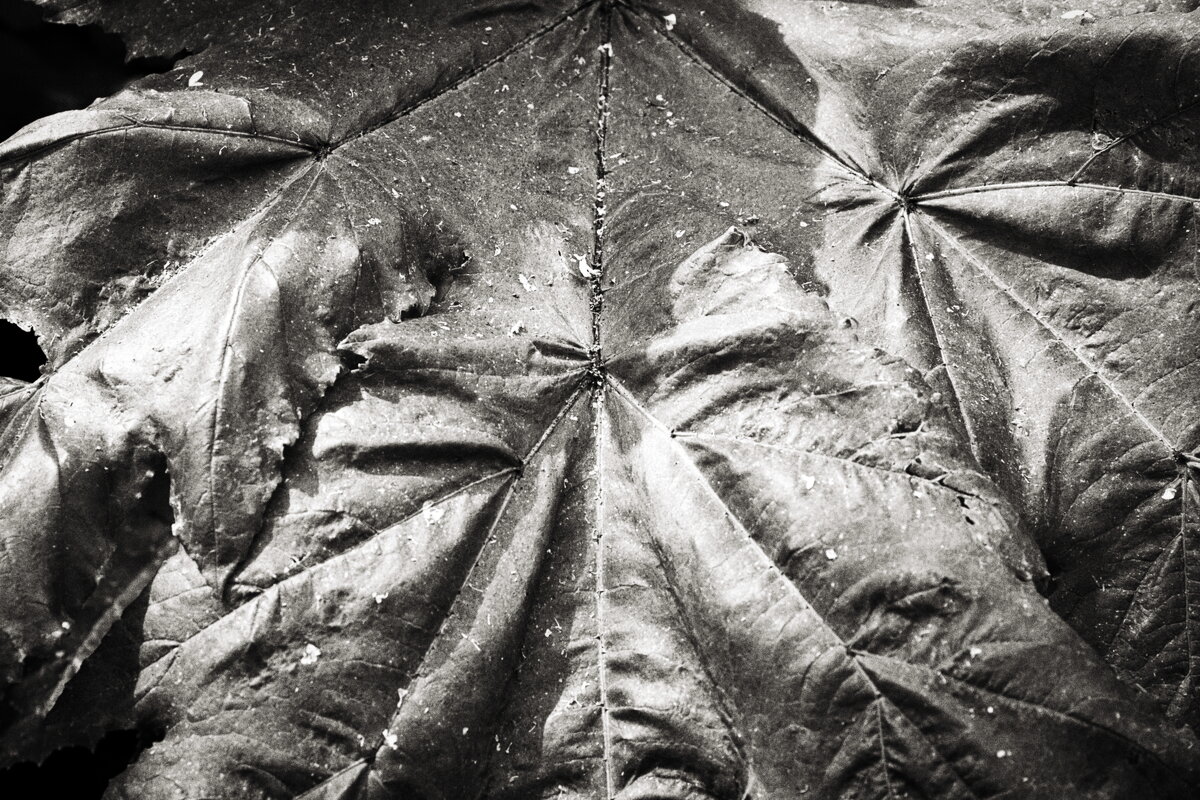 Фотография - Денис Безногов