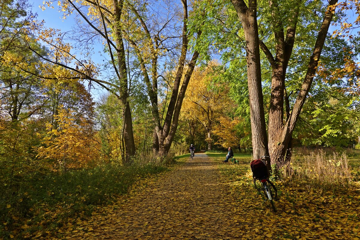 Осень - больше сезон души, нежели природы.  Фридрих Ницше - Галина 