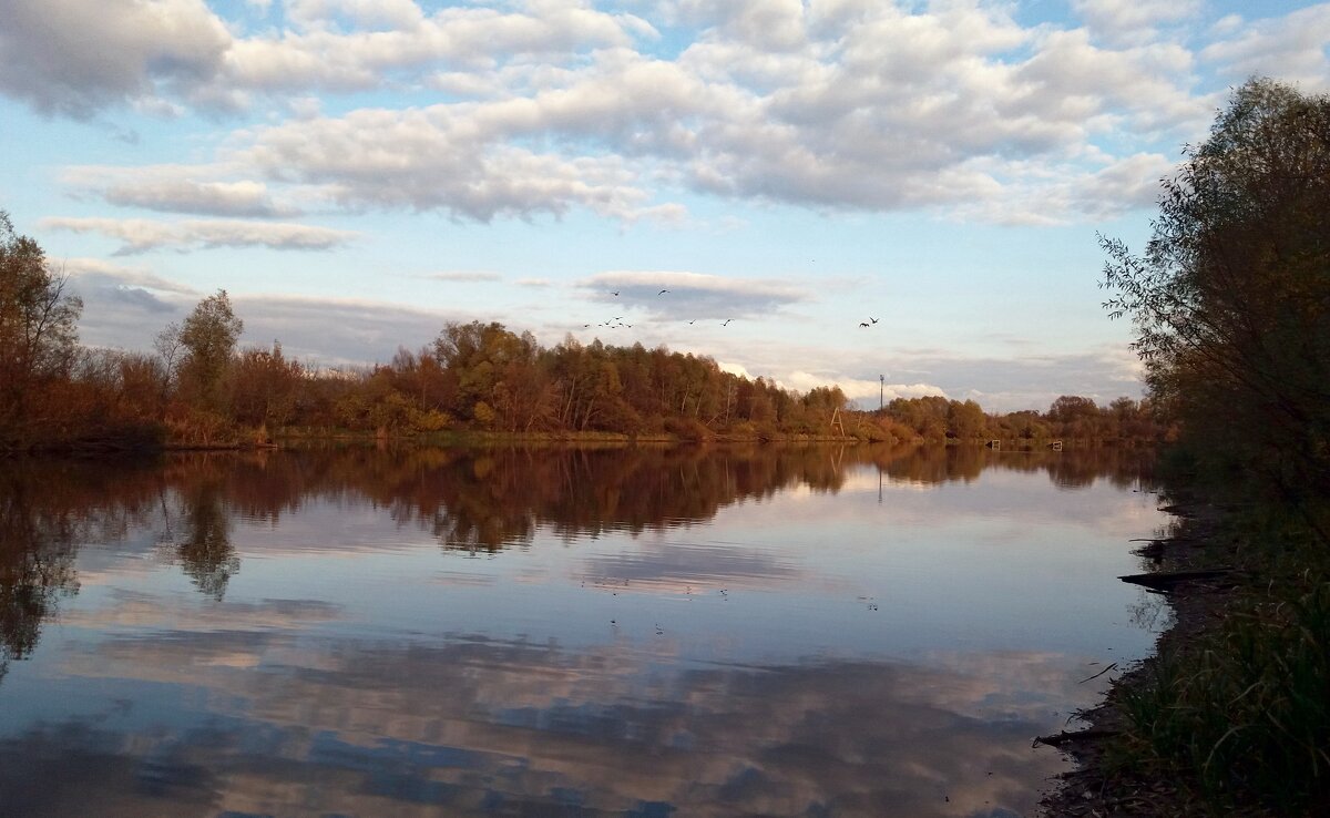 Небо октября с утками и отражением в озере - Galina Solovova