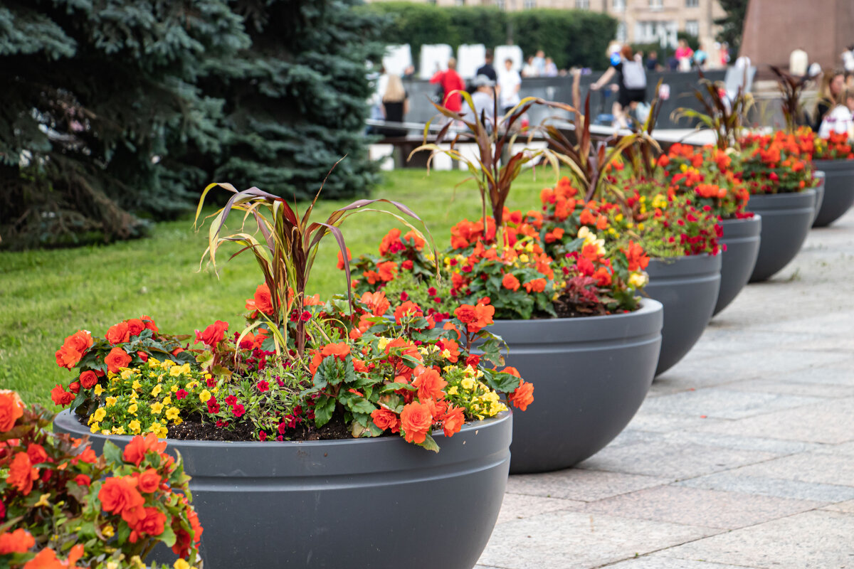 на Московской площади - navalon M