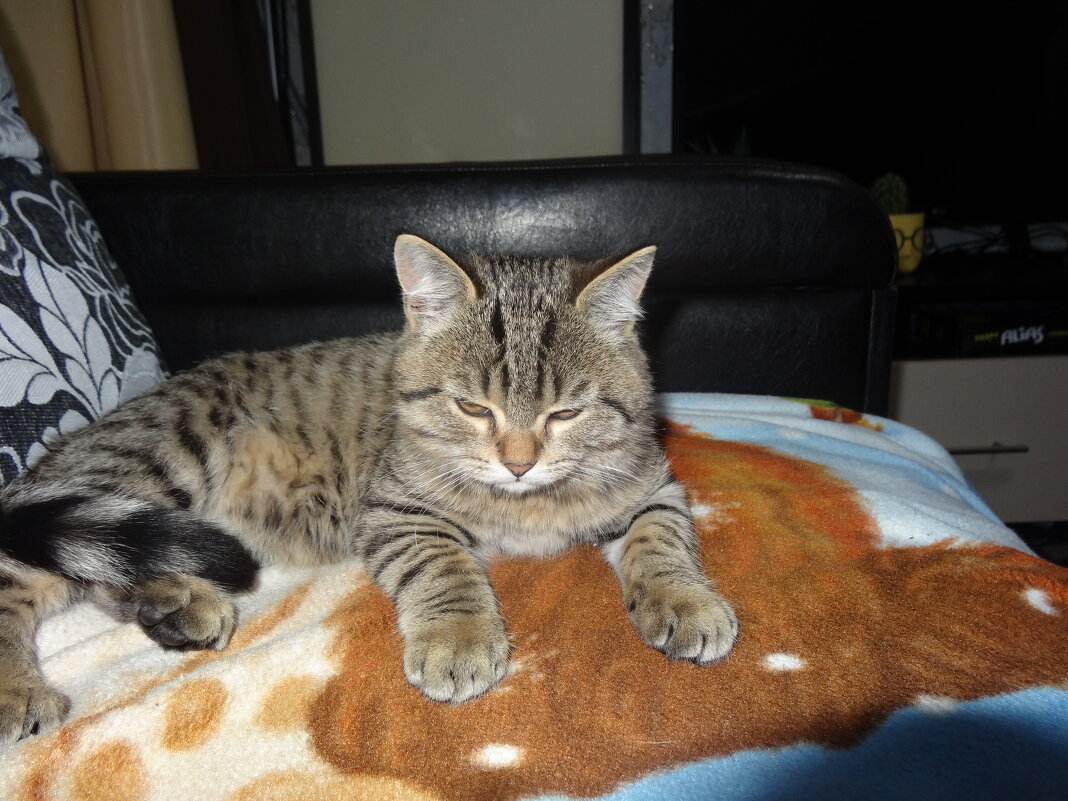 МУРЗИК - СЕРГЕЙ ФИЛОЧКИН