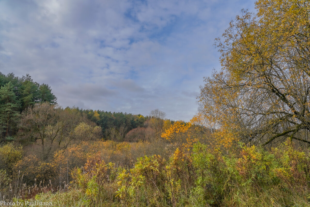 Под небом октября... - Владимир Жданов