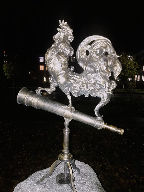 "Золотой петушок" - Сергей Кочнев