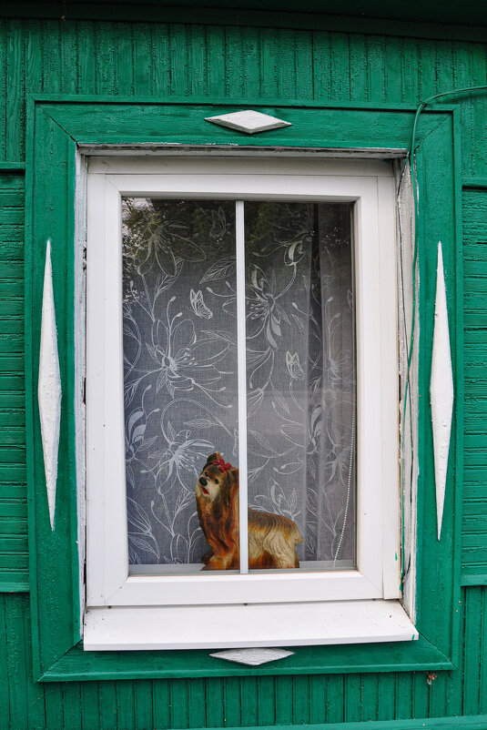 Окошко с собачкой - Татьяна Машошина