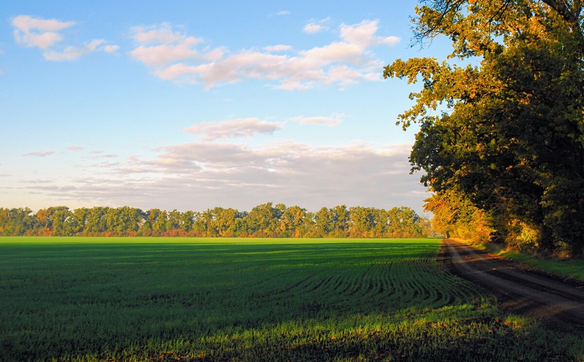 Октябрь. Утро. - Владимир 