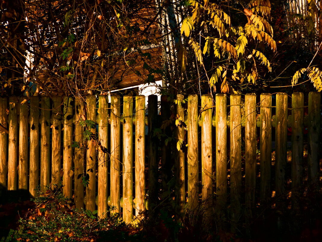 Осень 21 - Алексей Кузнецов