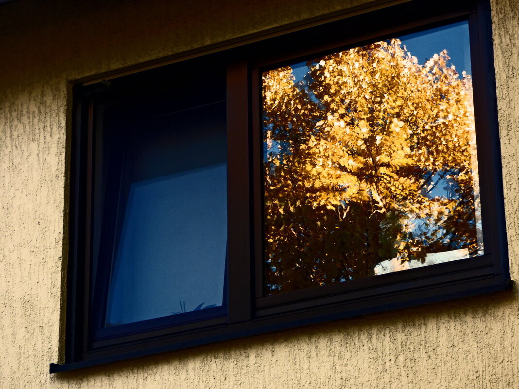 Осень 24 - Алексей Кузнецов