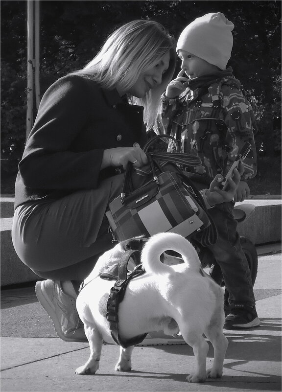 трио и хвост - sv.kaschuk 