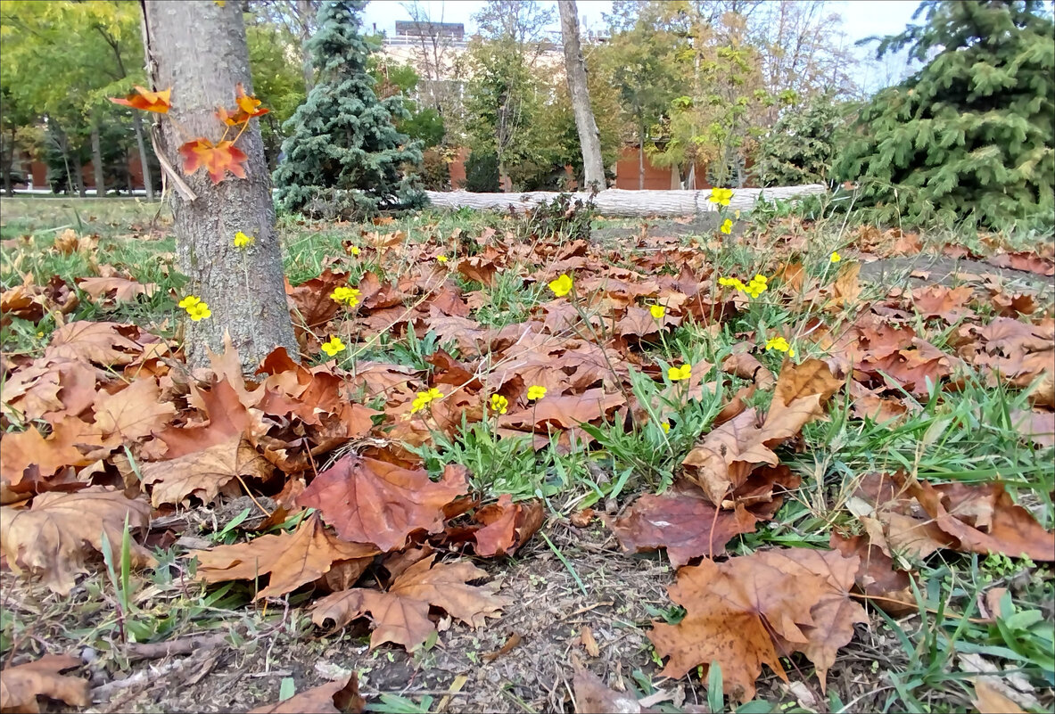 Лето не сдаётся! - Надежда 