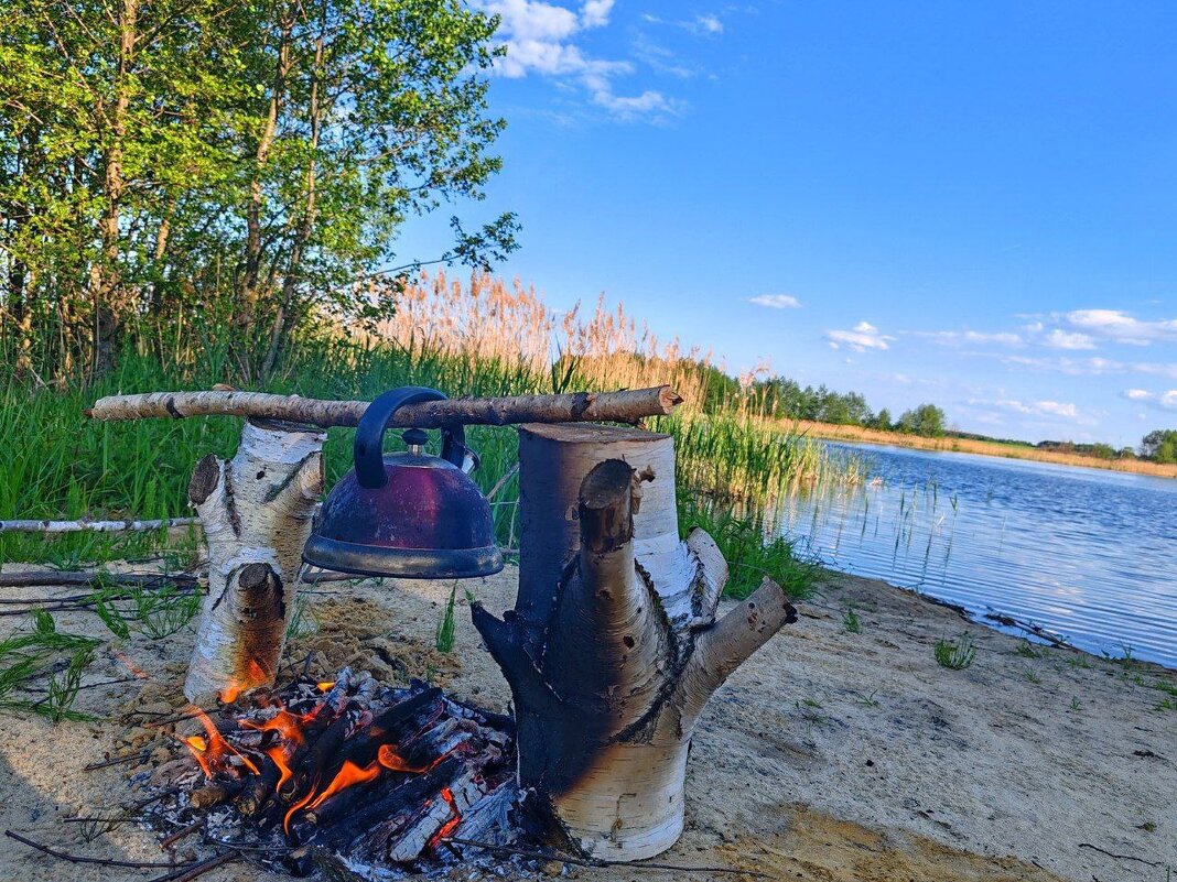 * - Татьяна Венцель