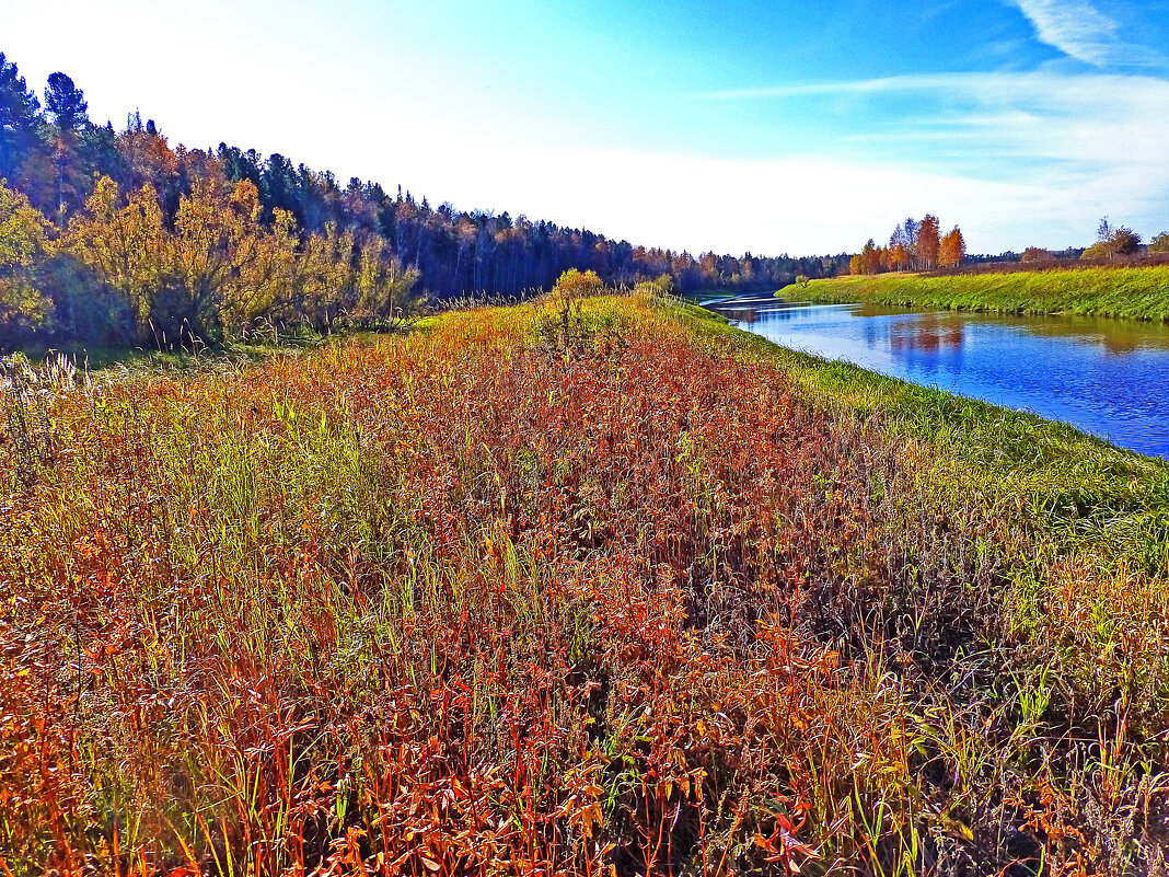 Протока Девкина...Дыхание сентября! - Владимир 