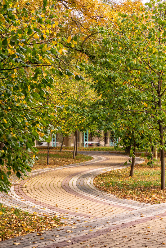 Середина осени - Игорь Сикорский Середина осени - Игорь Сикорский