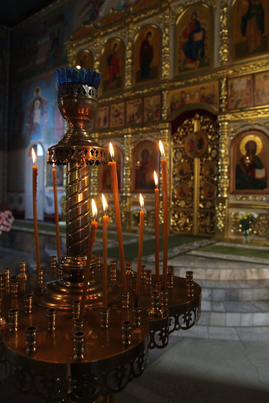 *** - Евгения Каравашкина