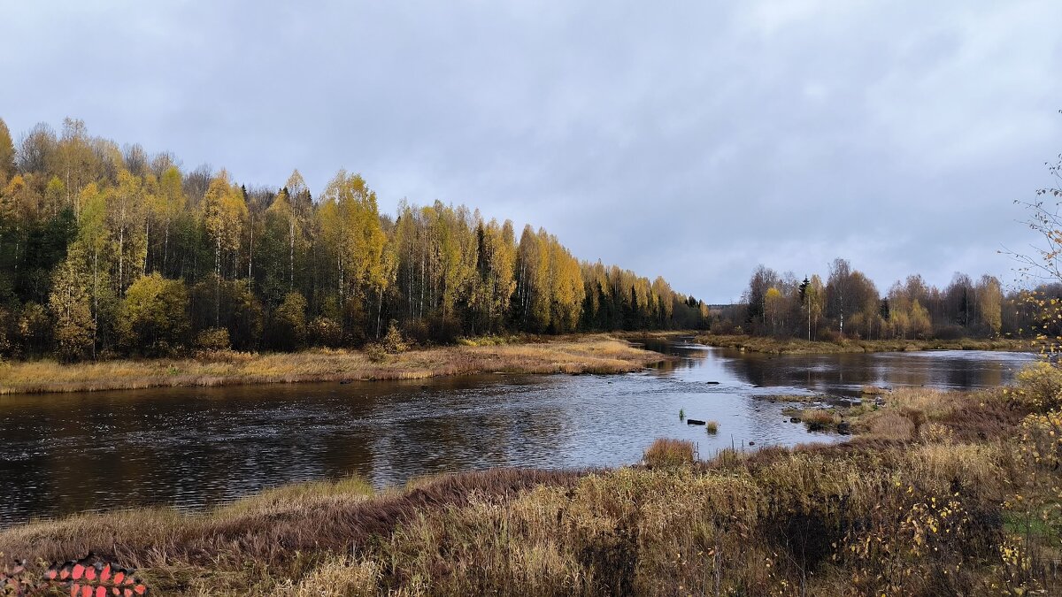Осенне настроение. - Ольга 