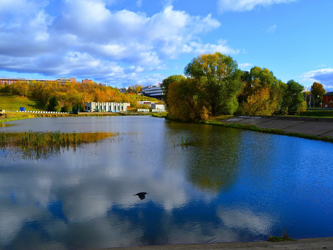 Чебоксары. Чебоксарский пруд-отстойник. - Пётр Чернега