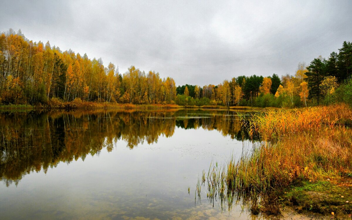 Золотая осень Смоленщины (репортаж из поездок по области). - Милешкин Владимир Алексеевич 