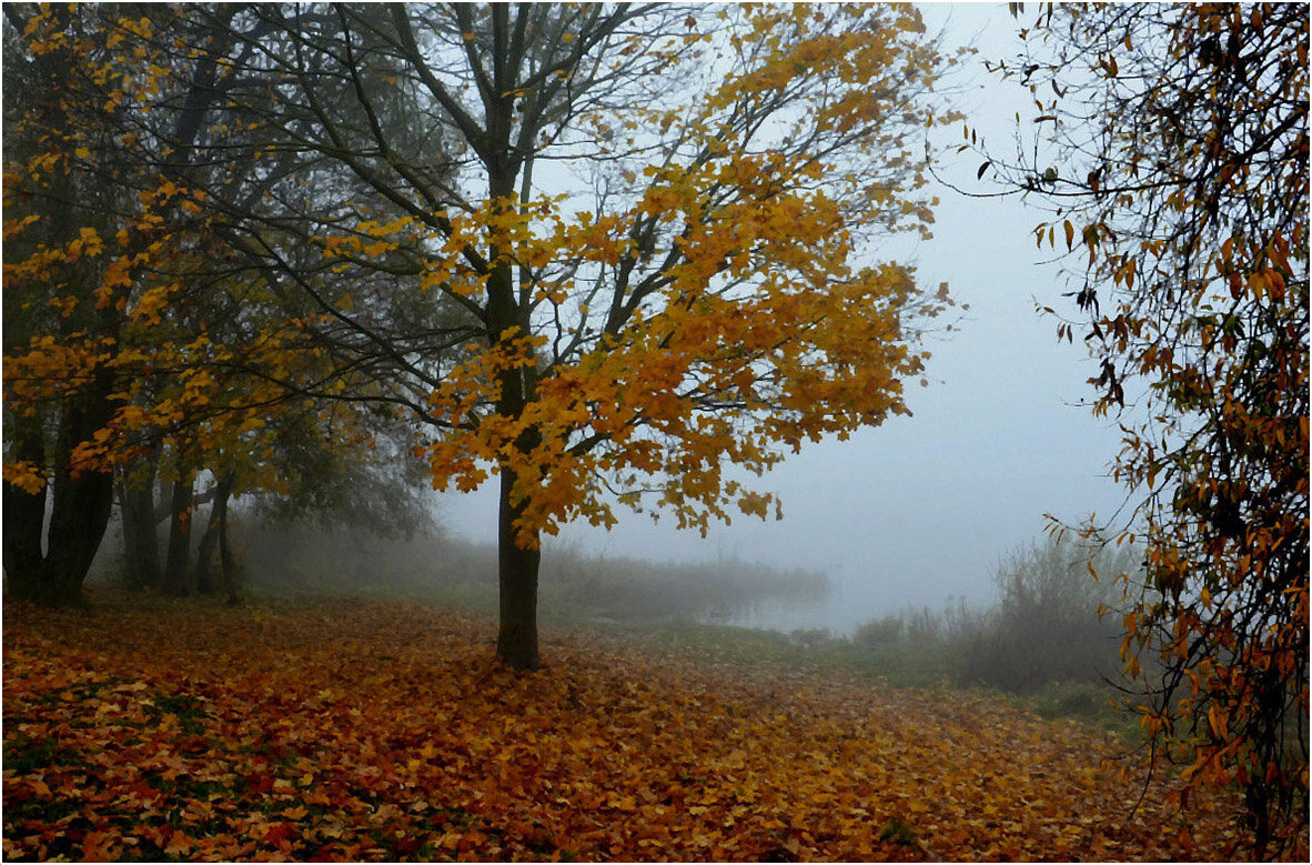 Осенний туман - Aleksandr Gal