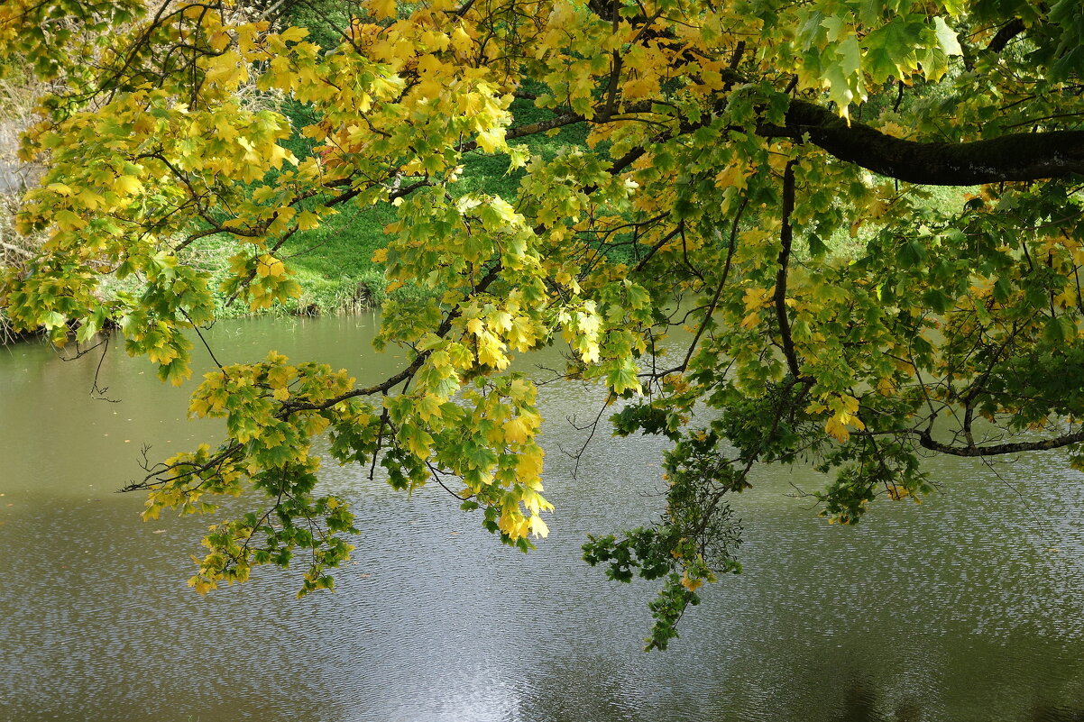 Городские зарисовки - Рита Симонова