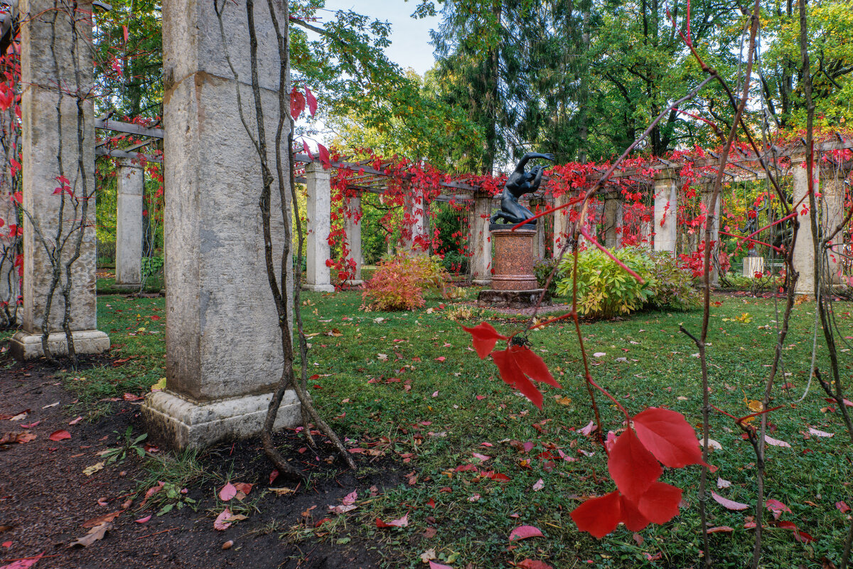 Про Питер - Владимир Колесников Про Питер - Владимир Колесников