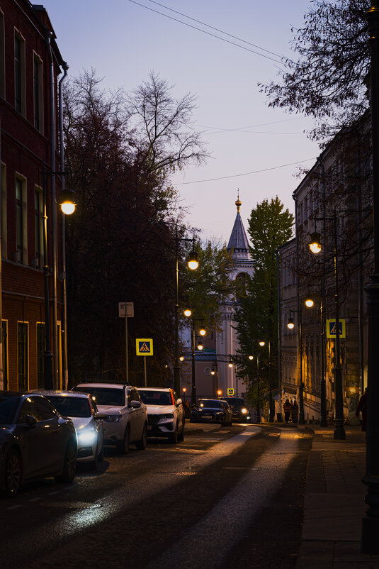 Вид на Иоанно-Предтеченский Ставропигиальный женский монастырь - Dar(k) Life