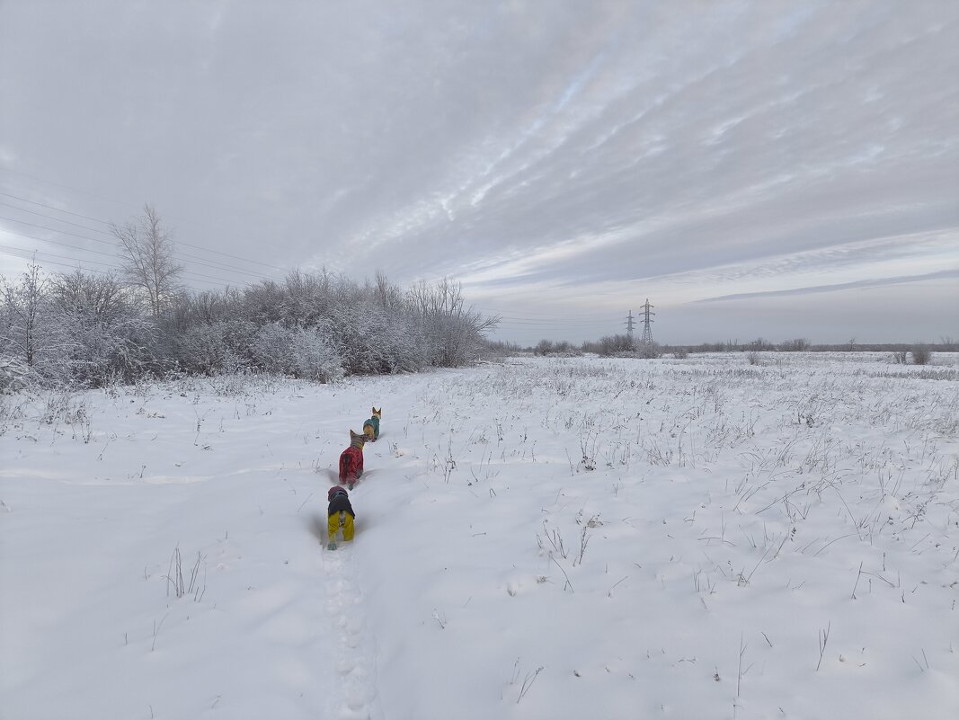 Зимние прогулки - Anna Ivanova