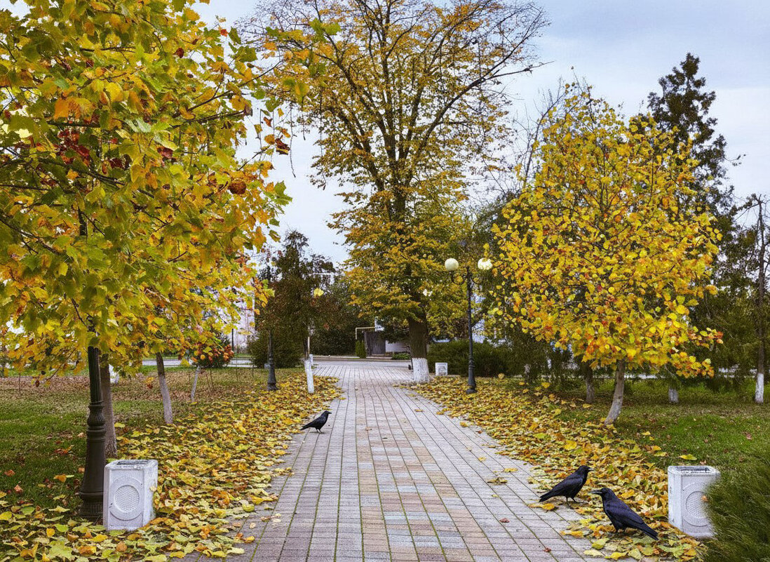 Аллея в парке - Валерий Ткаченко