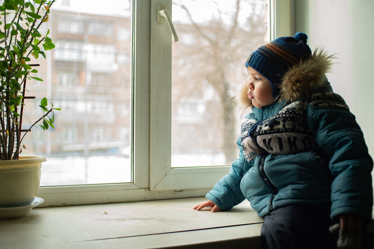Наблюдает - Алексей Копцев 