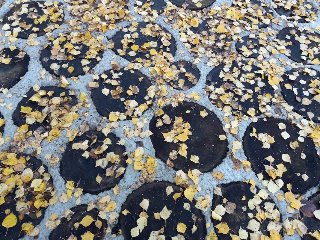 Осенняя тропинка похожа на мозаику - Galina Solovova