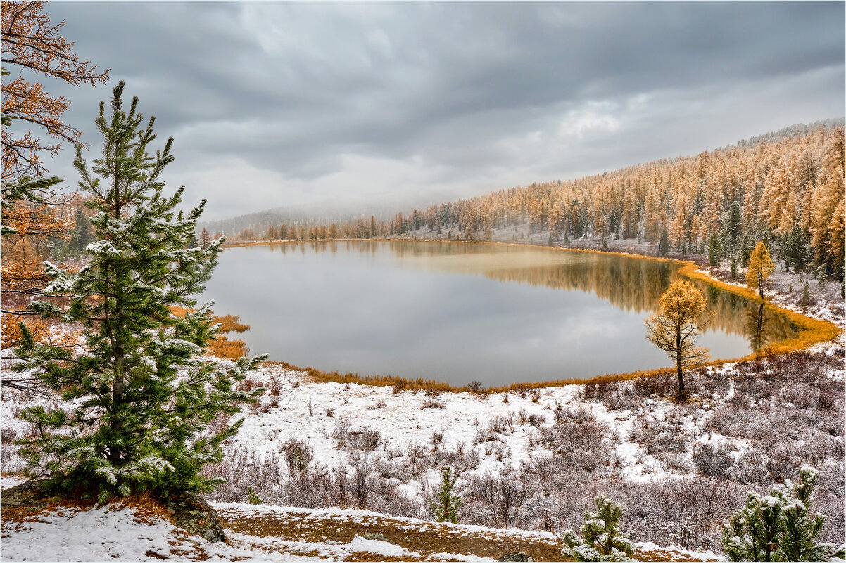 **** - Алексей Мезенцев
