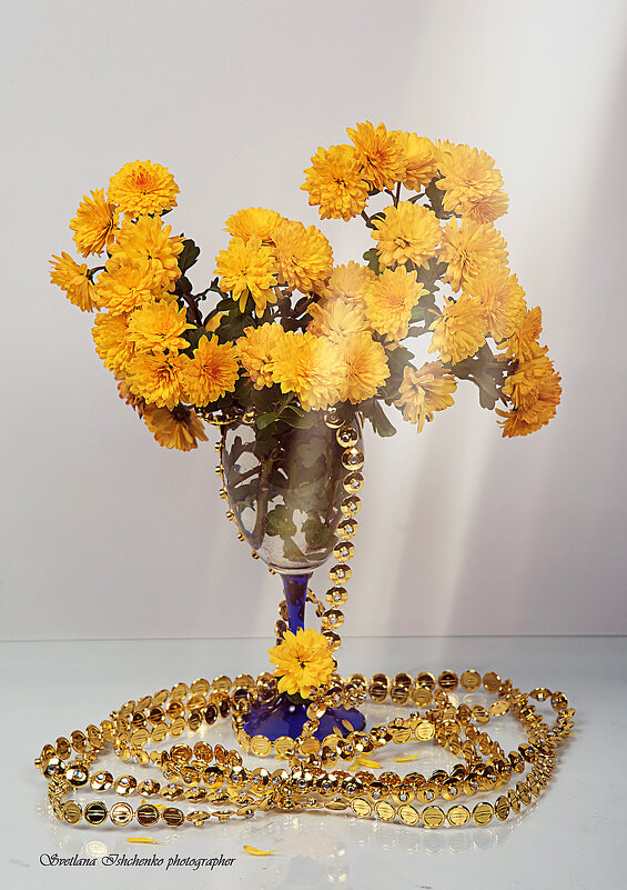 Жёлтые хризантемы - Светлана Ищенко