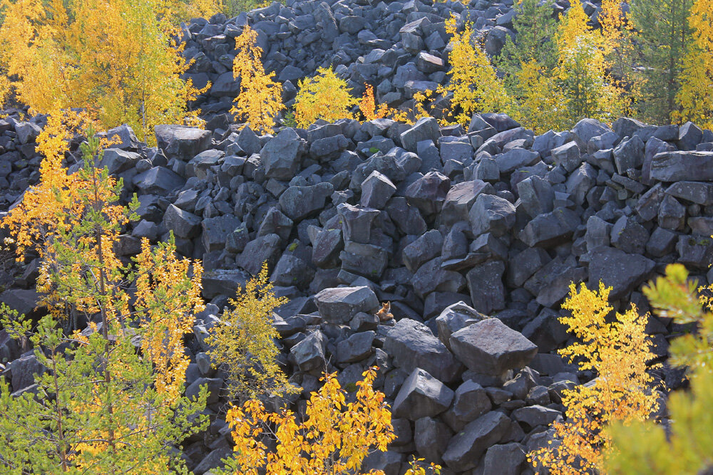 Гранитный диван - самый прочный - Vadm Slutsky Гранитный диван - самый прочный - Vadm Slutsky