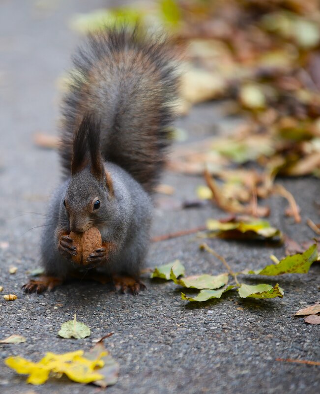 ...... - Evgeny Mameev