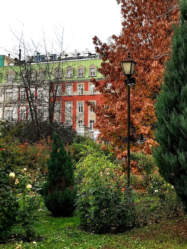 Город - Любимова Ольга 