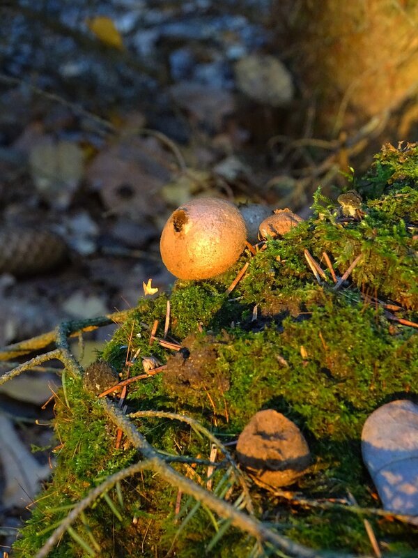 - - Татьяна Венцель