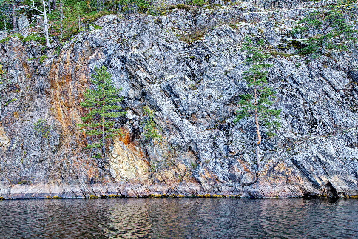 НА СТЕНЕ ТОЖЕ МОЖНО ЖИТЬ.  Ладога. Карелия. - Виталий Половинко
