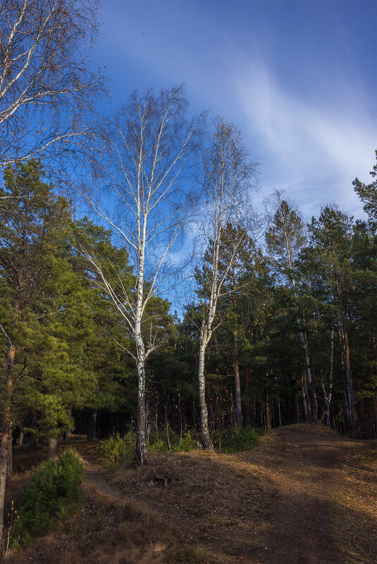 Нагие и лишённые стыда - Дмитрий Костоусов