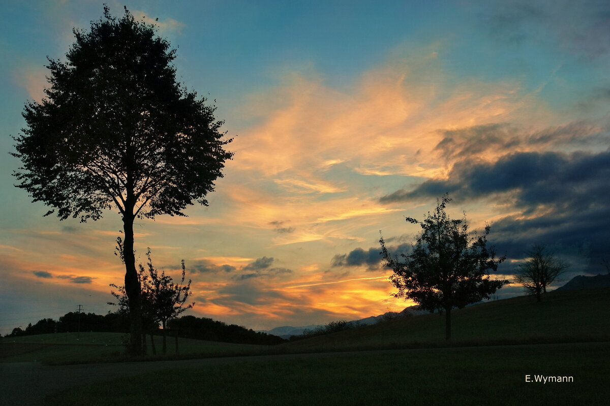 evening - Elena Wymann