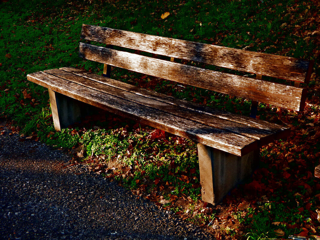 Осень 26 - Алексей Кузнецов