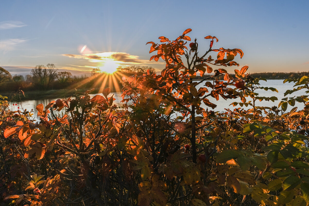 Закатное солнышко - Galina 