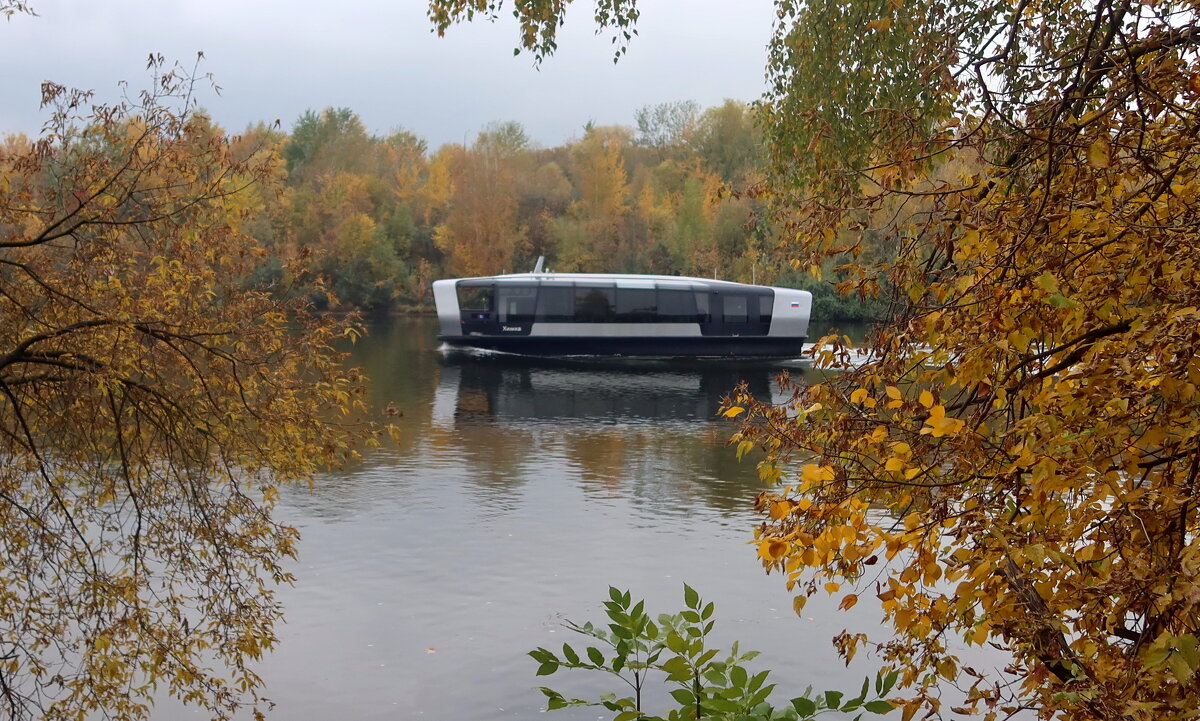 Осень, осень... - Дмитрий И_
