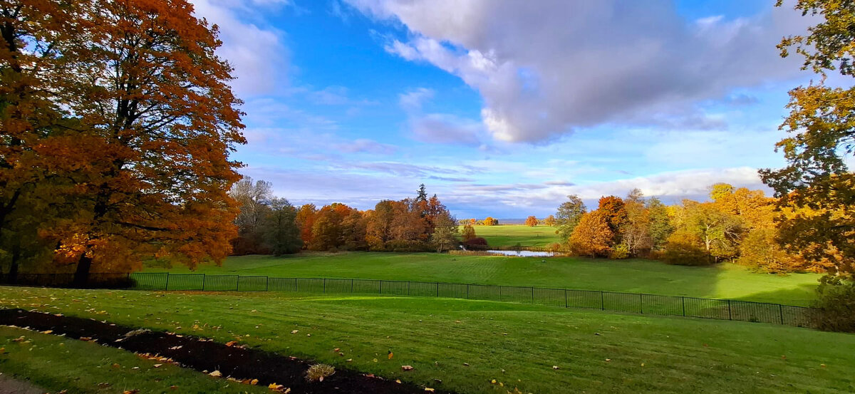 *** - Хватова Марина 