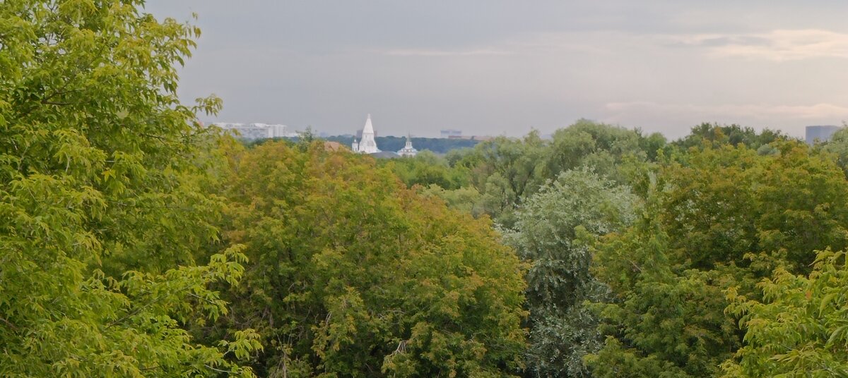 вид из монастыря - Галина R...