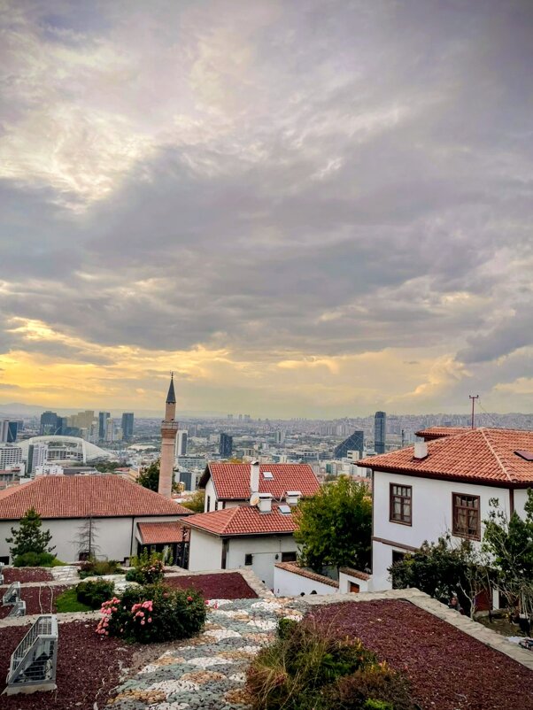 Турция - Георгиевич 