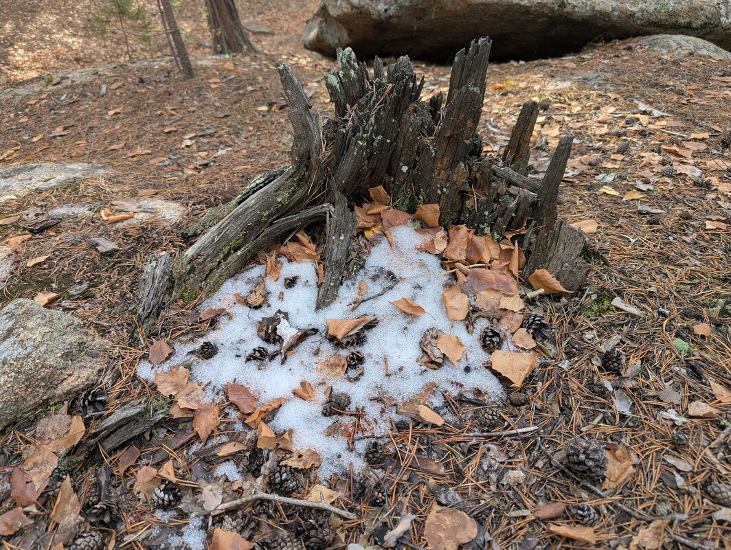 Жизнь на скалах - Андрей Хлопонин
