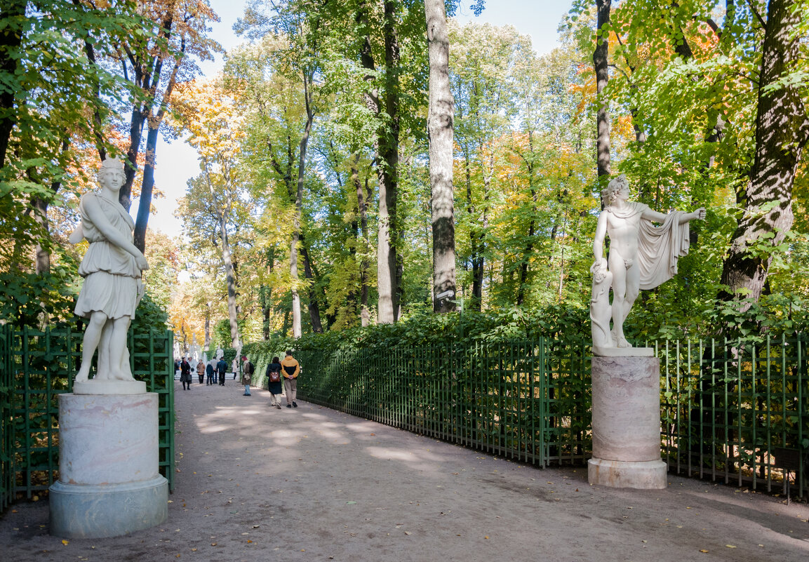 *** - Светлана .