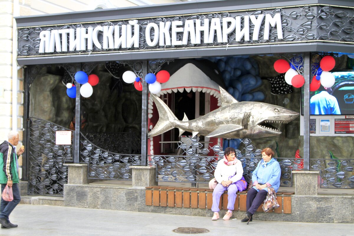 Ты Акул боишься? Да,где ты их тут видела.. - Геннадий Валеев